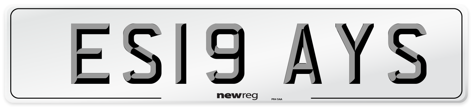 ES19 AYS Number Plate from New Reg
